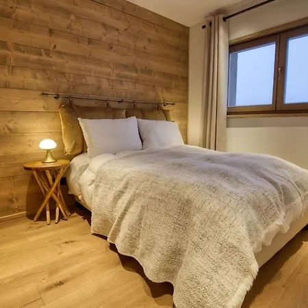 Magnifique Dans Luxueux - Aravis