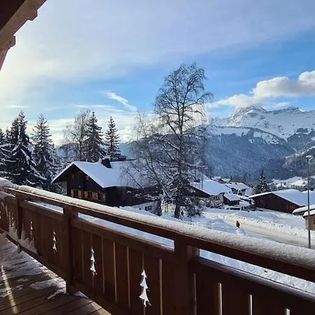 Magnifique Dans Luxueux - Aravis *
