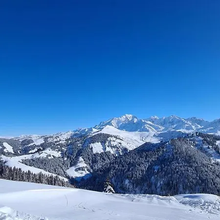 Magnifique Dans Luxueux - Aravis Appartement