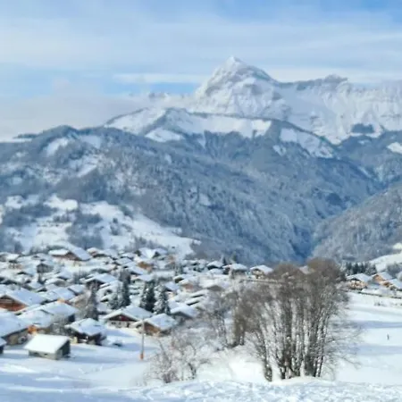 Appartement Magnifique Dans Luxueux - Aravis *